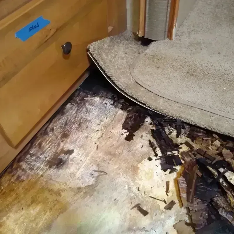 Wood Floor Water Damage in King City, OR